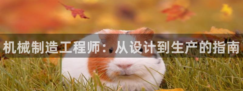 彩神8软件下载：机械制造工程师：从设计到生产的指南