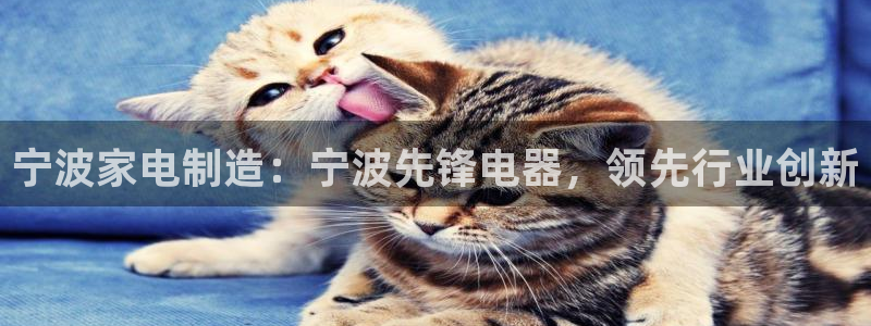 彩神购彩-购彩大厅入口36fr：宁波家电制造：宁波先锋电器，