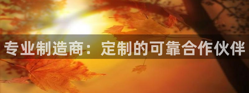彩神天下专家专栏：专业制造商：定制的可靠合作伙伴
