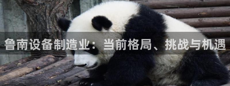 下载彩神v8