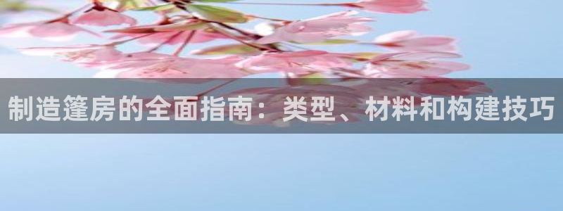 彩神vll官网-最新版app下载：制造篷房的全面指南：类型、材料和构建技巧