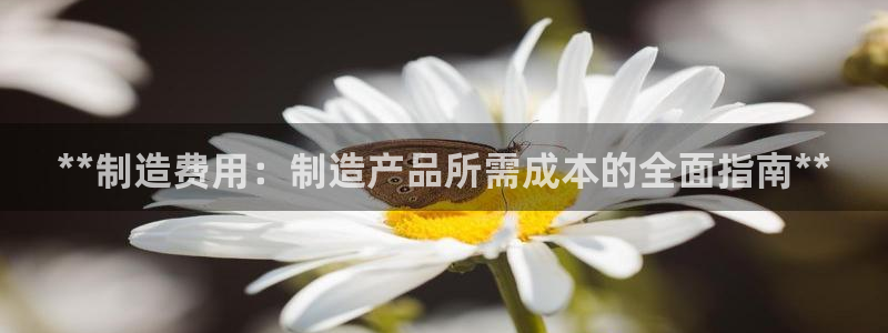 下载彩神乐发V1：**制造费用：制造产品所需成本的全面指南*
