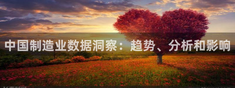 彩神iv是正规平台吗?：中国制造业数据洞察：趋势、分析和影响