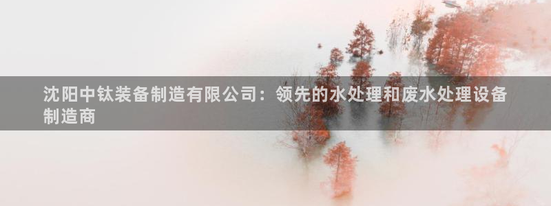 彩神v8下载app：沈阳中钛装备制造有限公司：领先的水处理和废水处理设备
制造商