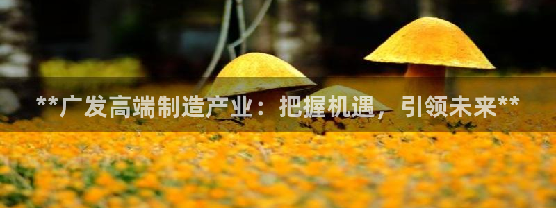 彩神趣购彩用户注册：**广发高端制造产业：把握机遇，引领未来**