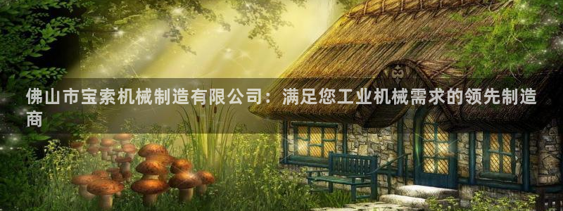 彩神ix平台：佛山市宝索机械制造有限公司：满足您工业机械需求