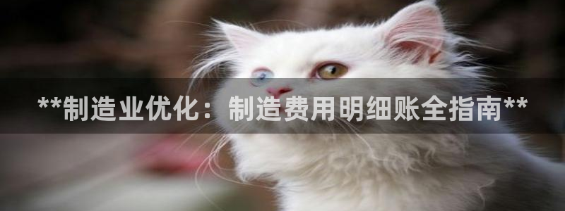 彩神v8首页