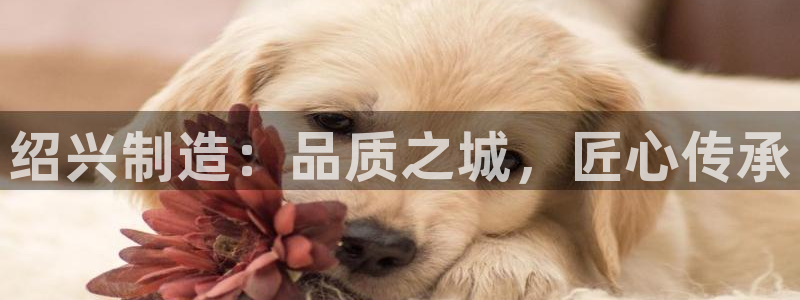 下载彩神争霸谁与我争锋：绍兴制造：品质之城，匠心传承