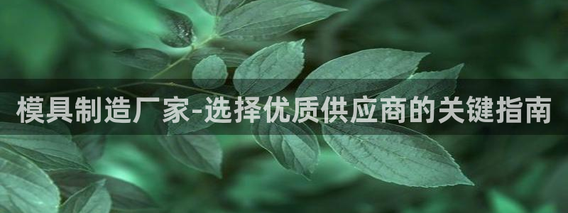 彩神购彩-购彩大厅入口36fr：模具制造厂家-选择优质供应商的关键指南