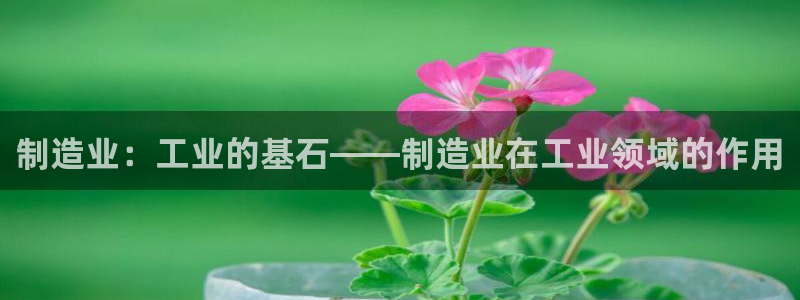 天天赢彩神：制造业：工业的基石——制造业在工业领域的作用
