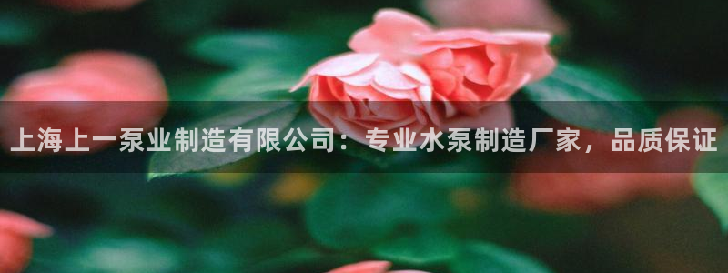 彩神v8是真的挣钱吗知乎：上海上一泵业制造有限公司：专业水泵制造厂家，品质保证