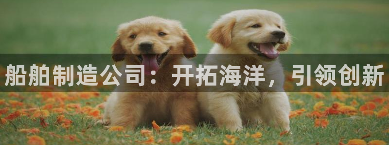 彩神是怎样一个平台赚钱的：船舶制造公司：开拓海洋，引领创新