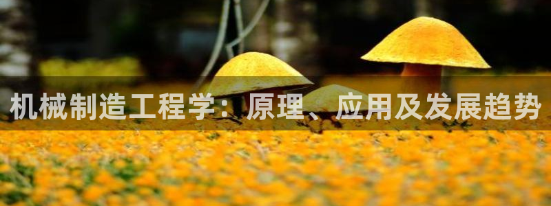 彩神v8平台正规吗安全吗