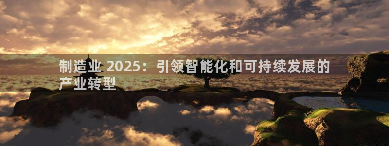 大发彩神争：制造业 2025：引领智能化和可持续发展的
产业转型