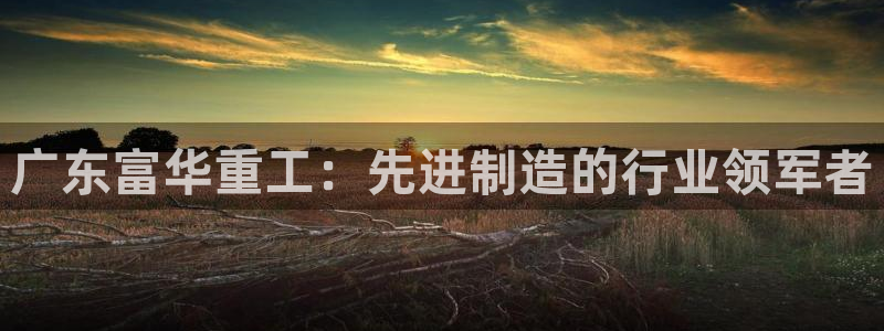 新版彩神v8登录不了：广东富华重工：先进制造的行业领军者
