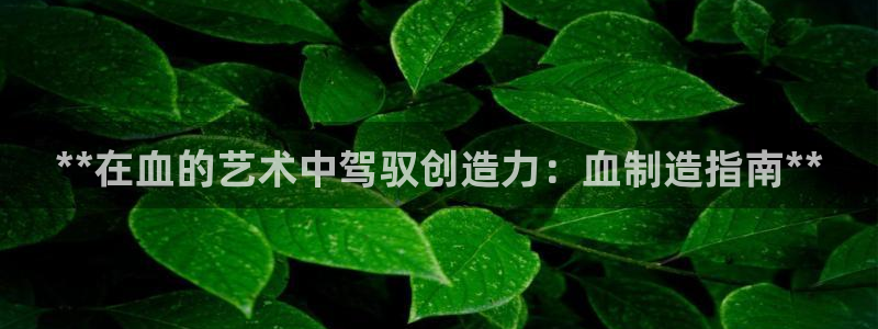 彩神新微聊