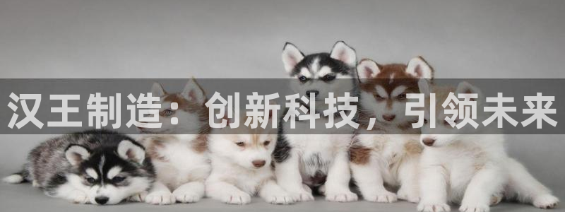 彩神是正规平台吗