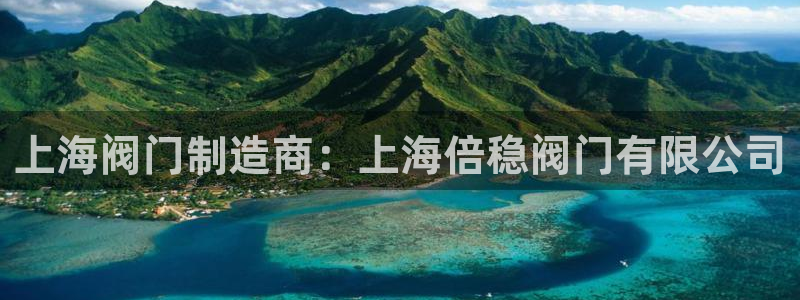 下载彩神通关注金码：上海阀门制造商：上海倍稳阀门有限公司