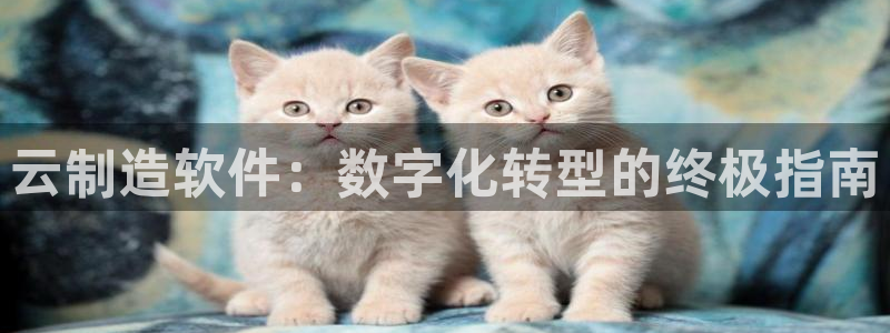 所有彩神购买首页都一样吗