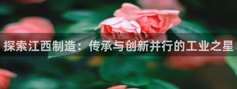 彩神v违法么：探索江西制造：传承与创新并行的工业之星