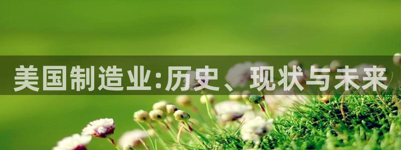 彩神v天天：美国制造业:历史、现状与未来