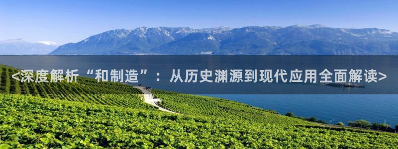 彩神iv真的能赚钱吗：<深度解析“和制造”：从历史渊源到现代应用全面解读>
