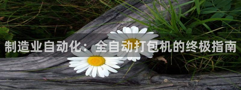 彩神v|：制造业自动化：全自动打包机的终极指南