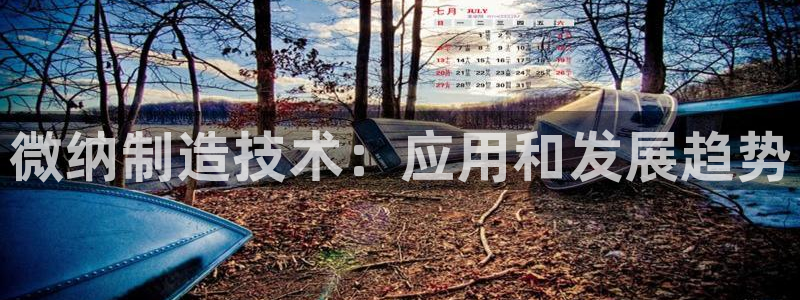 彩神平台是真的吗：微纳制造技术：应用和发展趋势