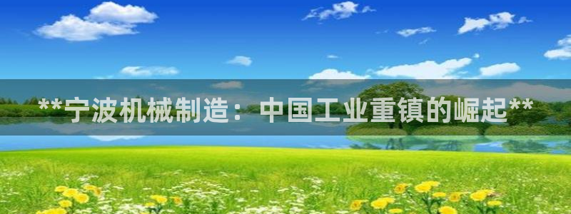 彩神广告有限公司：**宁波机械制造：中国工业重镇的崛起**