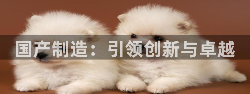 彩神vii手游下载：国产制造：引领创新与卓越