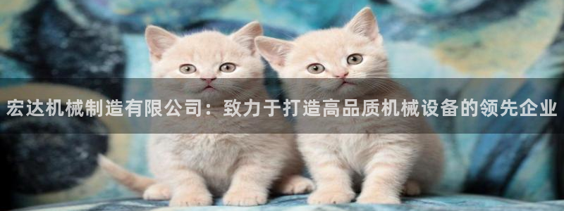 彩神iv能赚钱吗：宏达机械制造有限公司：致力于打造高品质机械设备的领先企业