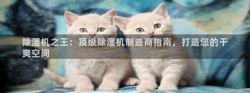 彩神V8有限公司：除湿机之王：顶级除湿机制造商指南，打造您的干
爽空间