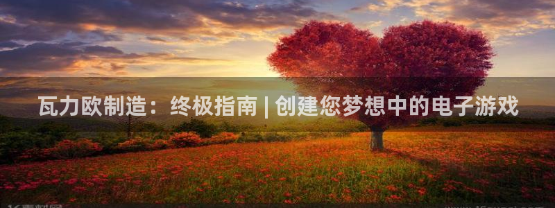 彩神是怎样一个平台赚钱的：瓦力欧制造：终极指南 | 创建您梦