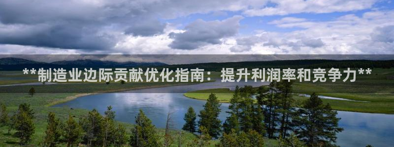彩神v8是真的挣钱吗知乎：**制造业边际贡献优化指南：提升利润率和竞争力**
