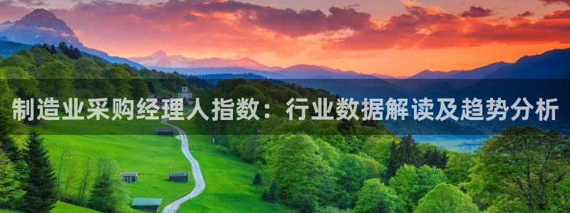 彩神v8手机客户端在哪：制造业采购经理人指数：行业数据解读及趋势分析