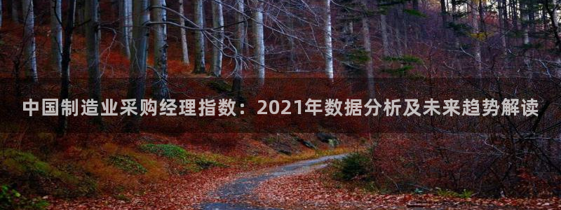 彩神vll首页企业文化：中国制造业采购经理指数：2021年数据分析及未来趋势解读