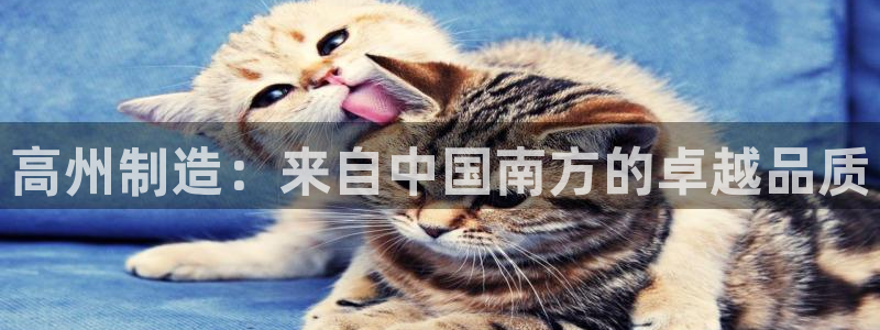 彩神v8是一个什么平台游戏：高州制造：来自中国南方的卓越品质