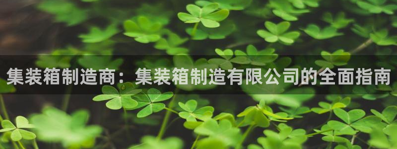 彩神v|：集装箱制造商：集装箱制造有限公司的全面指南
