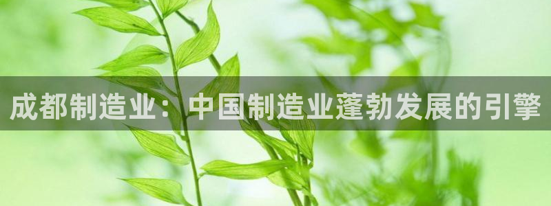 新版彩神v8登录不了：成都制造业：中国制造业蓬勃发展的引擎