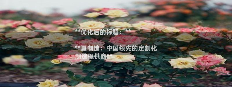 彩神8软件下载：**优化后的标题：**

**夏制造：中国领先的定制化
制造提供商**