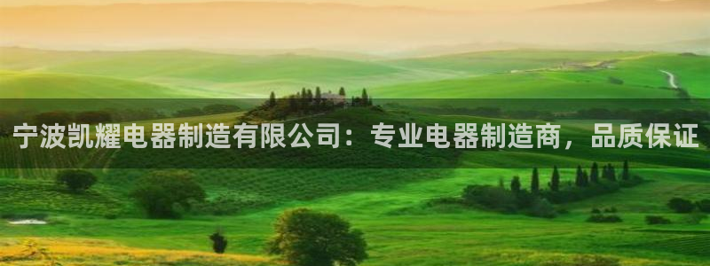 彩神v8手机客户端怎么下载：宁波凯耀电器制造有限公司：专业电