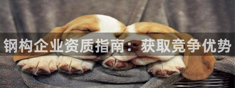 彩神vlll(中国)百度百科：钢构企业资质指南：获取竞争优势