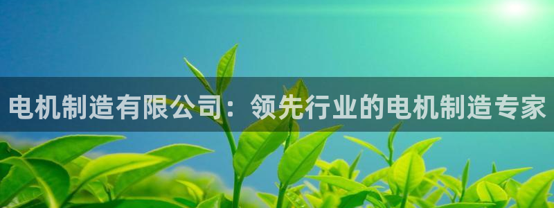 彩神购彩-购彩大厅入口老版：电机制造有限公司：领先行业的电机制造专家