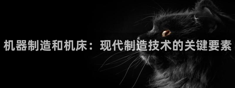 彩神平台是什么套路：机器制造和机床：现代制造技术的关键要素