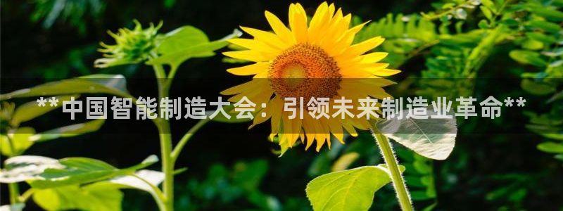 彩神团队是真的吗：**中国智能制造大会：引领未来制造业革命*