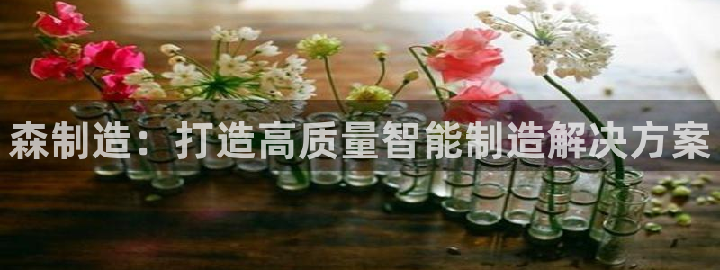 彩神V集团公司