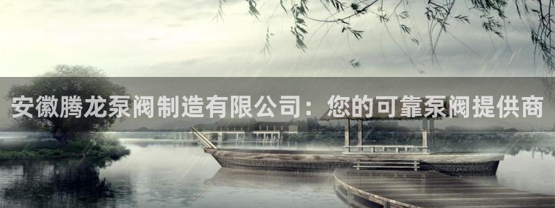 彩神购彩-购彩大厅入口36fr：安徽腾龙泵阀制造有限公司：您