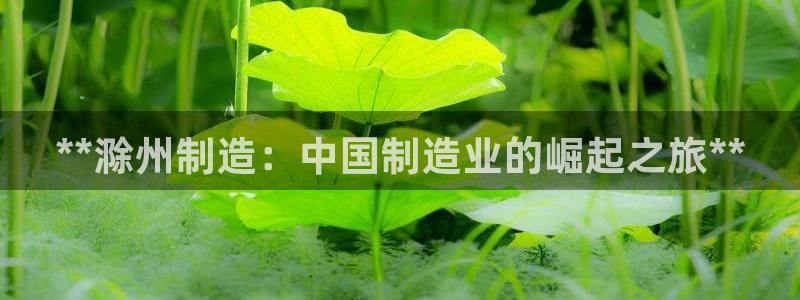 彩神v8手机客户端