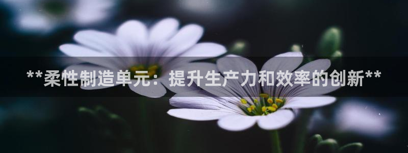 彩神怎么才能赢