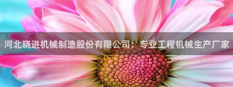 彩神vll购彩大厅大众：河北晓进机械制造股份有限公司：专业工程机械生产厂家